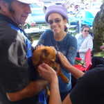 The Stillmans get a new puppy today.