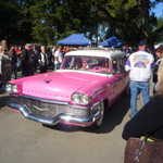 Miss Pinky wins!
