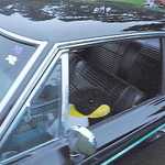 Jimmy's picnic and car show 2009 056