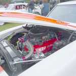 Jimmy's picnic and car show 2009 100