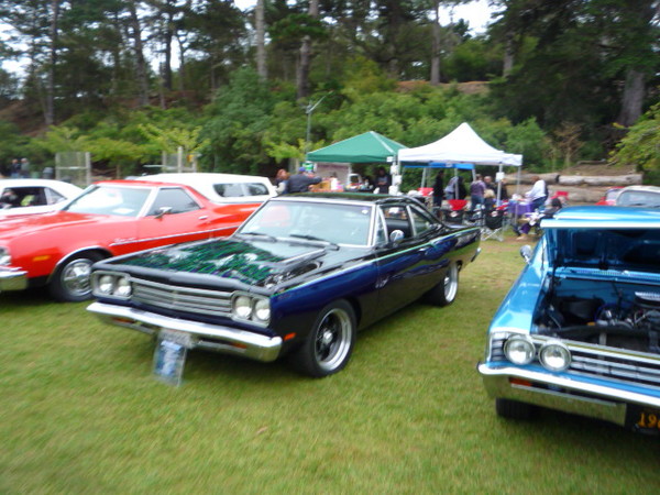 Jimmy's picnic and car show 2009 115