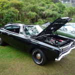 Jimmy's picnic and car show 2009 171