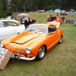 Jimmy's picnic and car show 2009 191