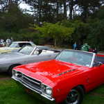 Jimmy's picnic and car show 2009 217
