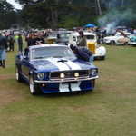Jimmy's picnic and car show 2009 279