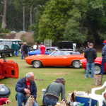 Jimmy's picnic and car show 2009 286
