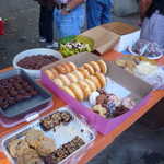GGSMU car club 2009 picnic 034