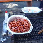 GGSMU car club 2009 picnic 039