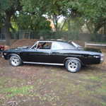 GGSMU car club 2009 picnic 050