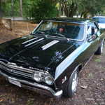 GGSMU car club 2009 picnic 053