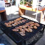GGSMU car club 2009 picnic 059