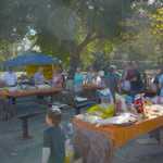 GGSMU car club 2009 picnic 069