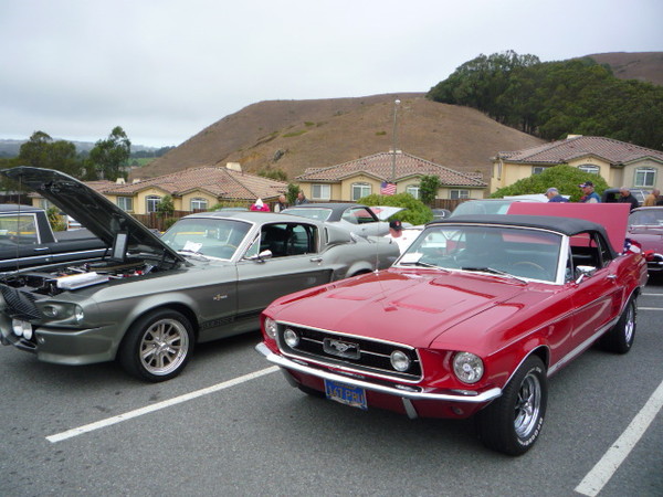 Elks club car show 2009 019