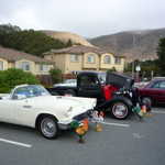 Elks club car show 2009 028