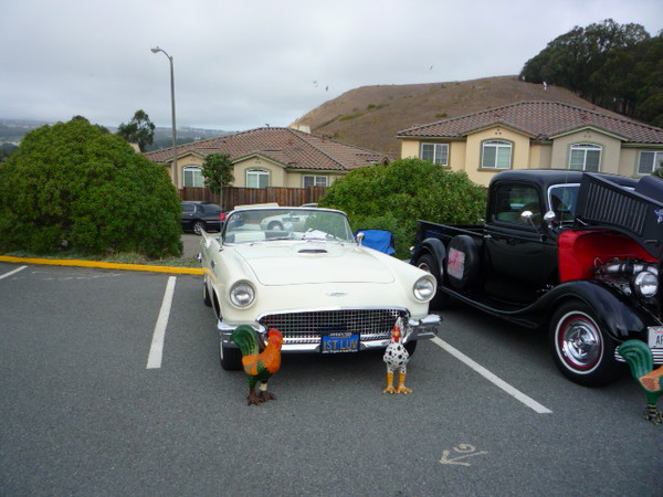 Elks club car show 2009 029