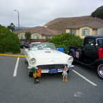 Elks club car show 2009 029