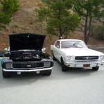 Elks club car show 2009 039