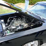 Elks club car show 2009 052