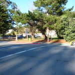 Hummnnn? Now what's in the fenced in yard across the street??