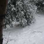 Sally's trip to Lake Arrowhead 2009 103