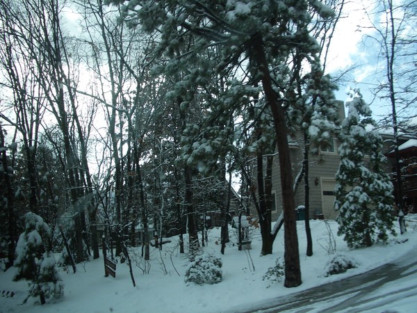 Sally's trip to Lake Arrowhead 2009 156