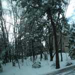Sally's trip to Lake Arrowhead 2009 156