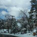 Sally's trip to Lake Arrowhead 2009 157