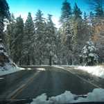 Sally's trip to Lake Arrowhead 2009 158
