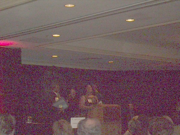 PAL dinner 2010 044