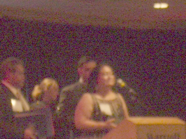 PAL dinner 2010 046