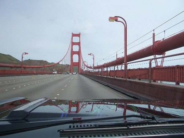 2010 Marin Cheese Factory Cruise. 020