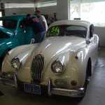 2010 Marin Cheese Factory Cruise. 181