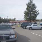 2010 Marin Cheese Factory Cruise. 206