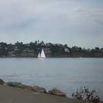 2010 Marin Cheese Factory Cruise. 225