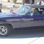 Bino's car show 2010 078