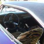 Bino's car show 2010 088
