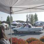 Derrick Ward Memorial car show 2010 089