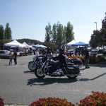 Derrick Ward Memorial car show 2010 139