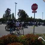 Derrick Ward Memorial car show 2010 145
