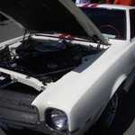 Derrick Ward Memorial car show 2010 255