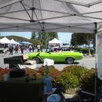 Derrick Ward Memorial car show 2010 283