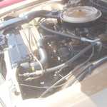 Derrick Ward Memorial car show 2010 294