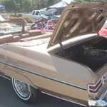 Derrick Ward Memorial car show 2010 296