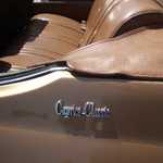 Derrick Ward Memorial car show 2010 298