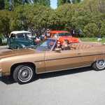 Derrick Ward Memorial car show 2010 342