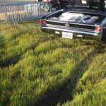 One unstuck Chevelle!