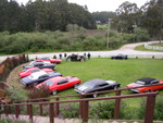 What a front lawn!