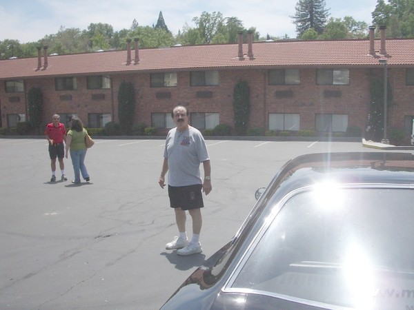 Jackson car show 2010 010