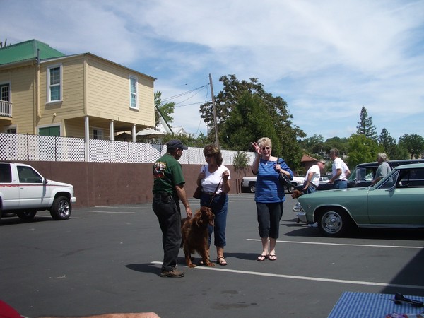 Jackson car show 2010 016
