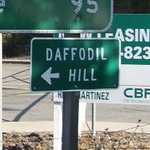 Then on to Daffioil Hill.......